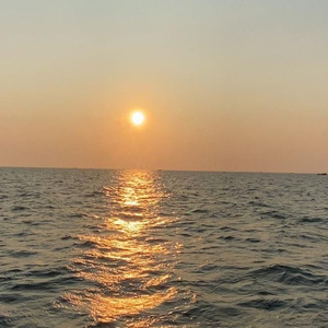 老司机深夜影院
