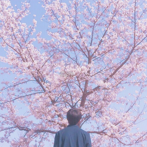 老司机深夜影院
